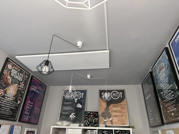 Grzejnik na podczerwień promiennik ECOSUN 900 W STANDARD POLSKI PRODUCENT